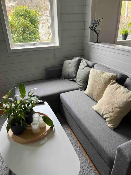 Cosy Apartment With Free Parking Bergen Eksteriør bilde